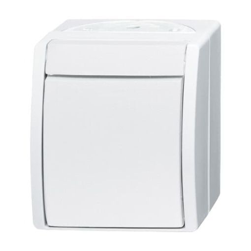 Switch Twoway switch alpine white  ocean