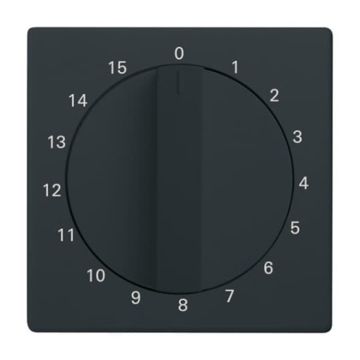 Cover plate with legend 1  15 Min for Time switch Turn button anthracite  Platform 63