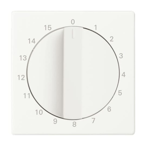 Cover plate with legend 1  15 Min for Time switch Turn button studio white matt  Platform 63