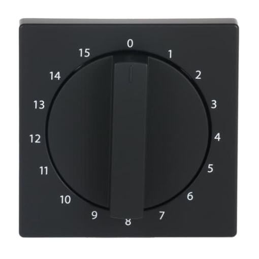 Cover plate with legend 1  15 Min for Time switch Turn button black matt  Platform 63