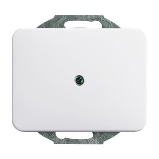 Cover plate Blind cap with Mounting plate studio white  alpha