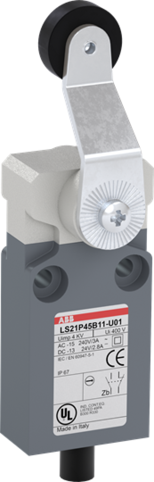 LS21P45B11-U01 Limit Switch