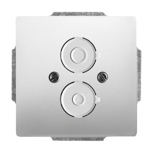 1748-866 CoverPlates partly incl. Insert carat Stainless steel