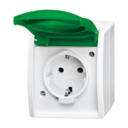 SCHUKO Socket with labelling field SV with Hinged Lid alpine white  green  - ocean