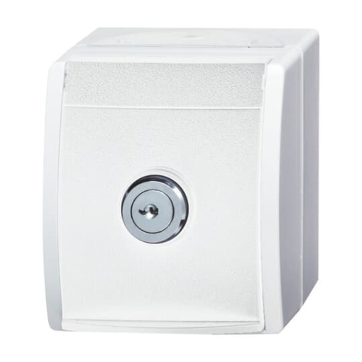 SCHUKO Socket with labelling field with Hinged Lid and Cylinder Lock with simultaneous locking alpine white  - ocean