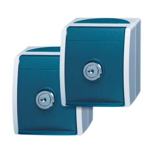 SCHUKO Socket with labelling field with Hinged Lid and Cylinder Lock with simultaneous locking grey  blue-green  - ocean