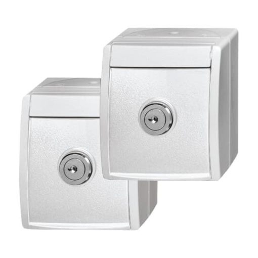 SCHUKO Socket with labelling field with Hinged Lid and Cylinder Lock with simultaneous locking alpine white  - ocean