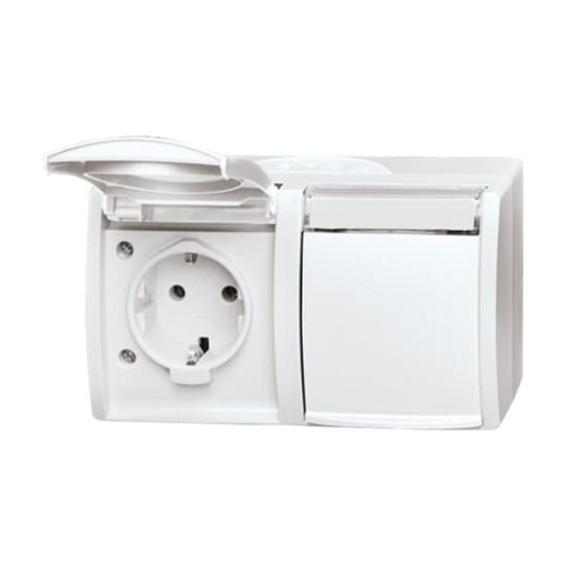 SCHUKO Double socket with labelling field with Hinged Lid alpine white  - ocean