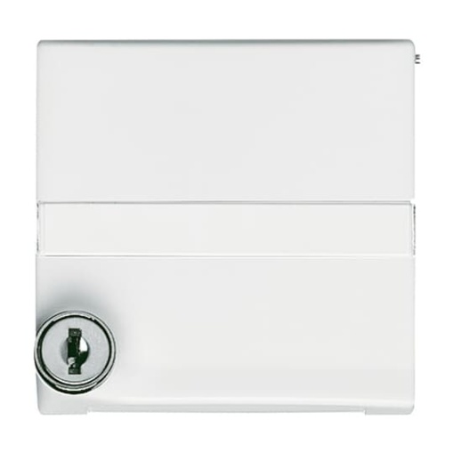 Intermediate Ring with labelling field with Hinged Lid Cylinder Lock with different locking Cover plates Busch-Duro 2000 SI and Reflex SI alpine white - Allwetter 44 IP 44