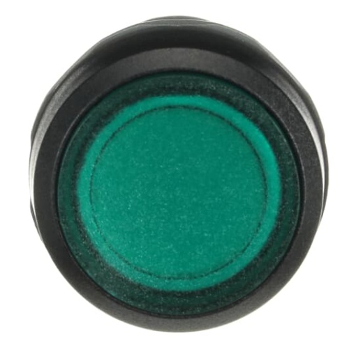 CP2-13G-10 Pushbutton