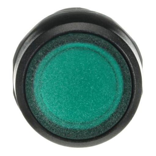 CP2-11G-10 Pushbutton