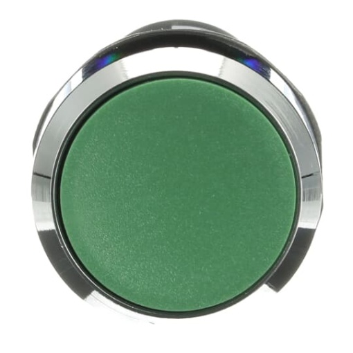 CP1-30G-11 Pushbutton
