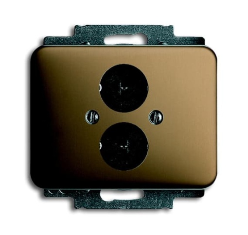 1751-21 CoverPlates partly incl. Insert carat bronze