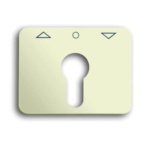 1755 PZ-22G-101 Cover plate with marking