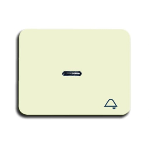 1789 KI-22G Switch rocker with marking with small transparent lens