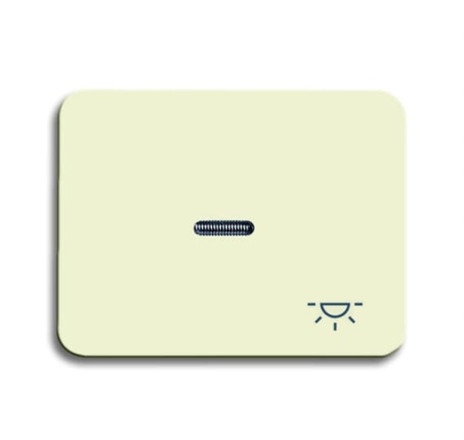 1789 LI-22G Switch rocker with marking with small transparent lens