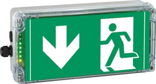 Ex-escape sign luminaires EXIT N with integrated emergency light function for zone 121, Pictogram DIN ISO 7010, Arrow 6 Clock