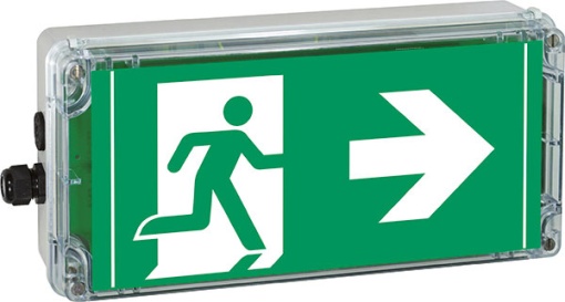 Ex-escape sign luminaires EXIT 2 V-CG-S for zone 222, Pictogram DIN ISO 7010, Arrow 3 Clock