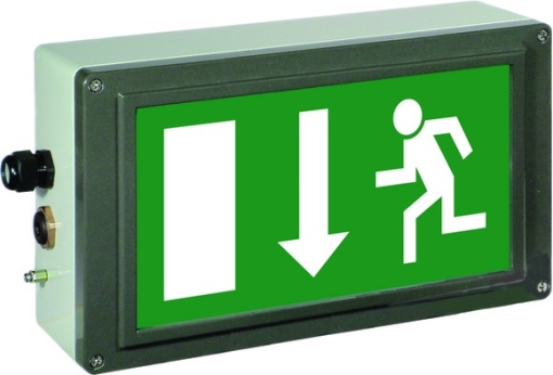 Ex-escape sign luminaires EX-LITE V-CG-S for emergency light function for zone 121, Pictogram EN 1838, Arrow 6 Clock