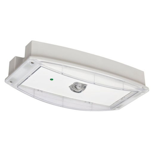 i-P65 Plus L 1H CGLine PC