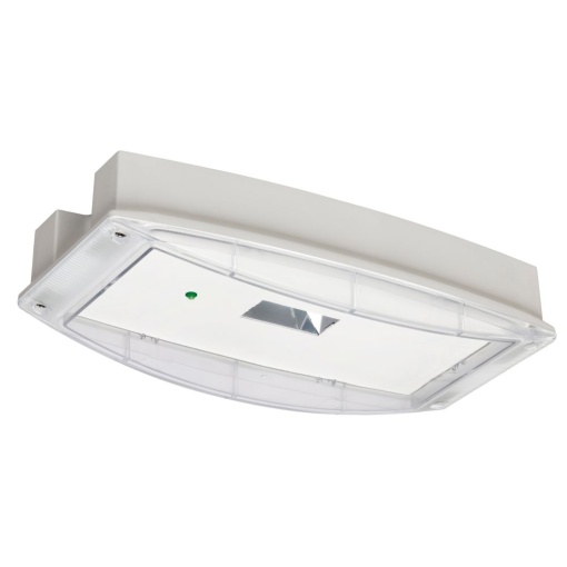 i-P65 Plus H 3H CGLine PC