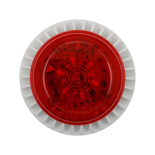 ROLPXSVSBRLW1D MAXI