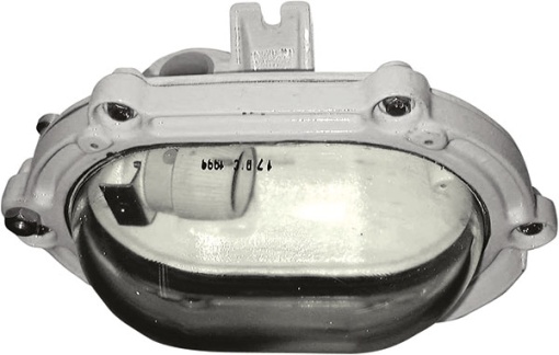 WALL MOUNTING LUMINARIE ExdIIB AB80 34&apos,