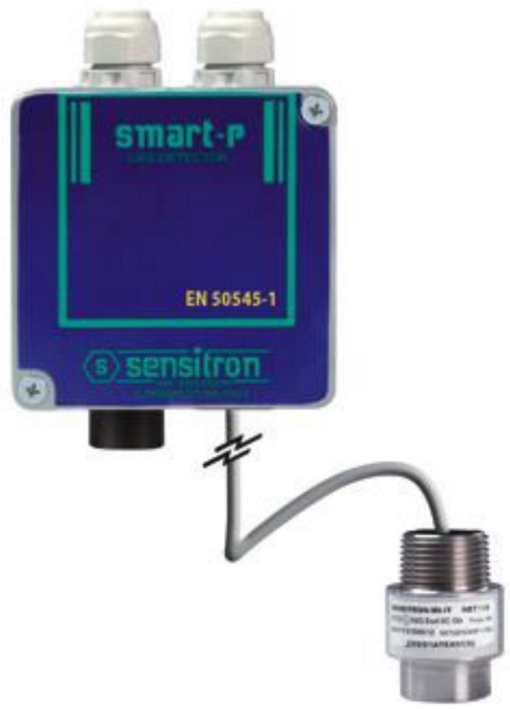 CO and GASOLINE VAPOR DETECTOR