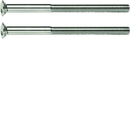TS - parafusos M3,5 x 50mm par, cromad