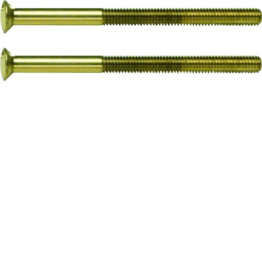 TS - parafusos M3,5 x 50mm par, dourad