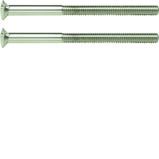 TS - parafusos M3,5 x 50mm par, inox