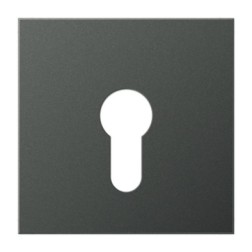 Placa interruptor llave LS antracita