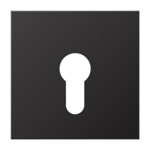 Placa interruptor llave LS dark