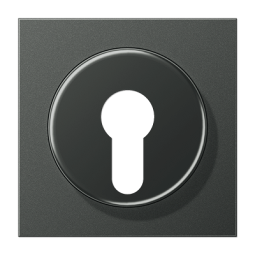 Placa interruptor llave LS antracita