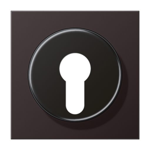 Placa interruptor llave LS dark