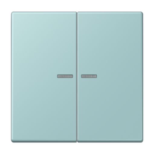 Tecla JUNG HOME 2 fases. LC32033