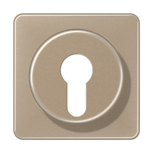 Paca interr. llave prot. desm CD bro-oro