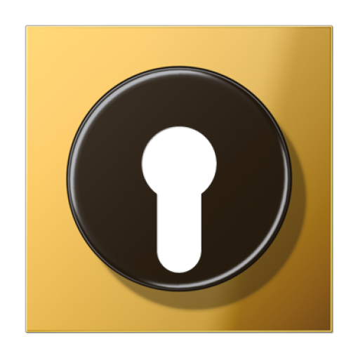 Placa interruptor llave LS dorado