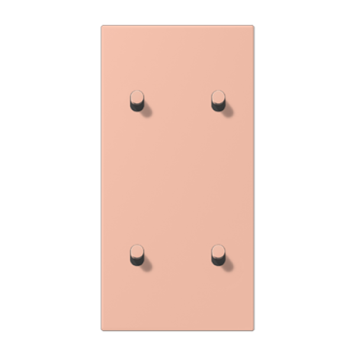 Placa 2x2 palvert cilin LS1912 LC32102