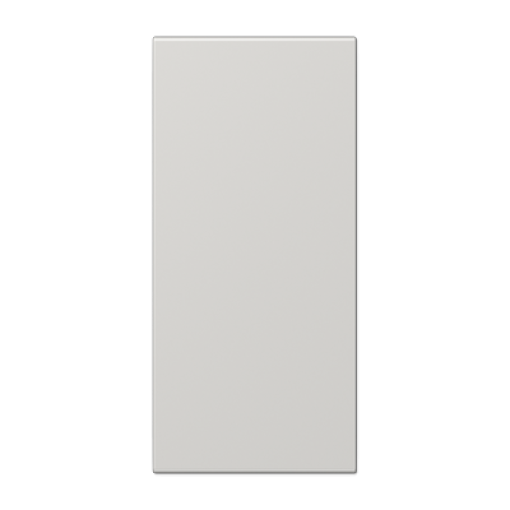 Placa central rotulación F50 LS gris cl