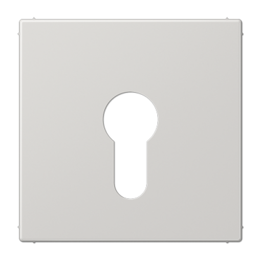 Placa interruptor llave LS gris claro