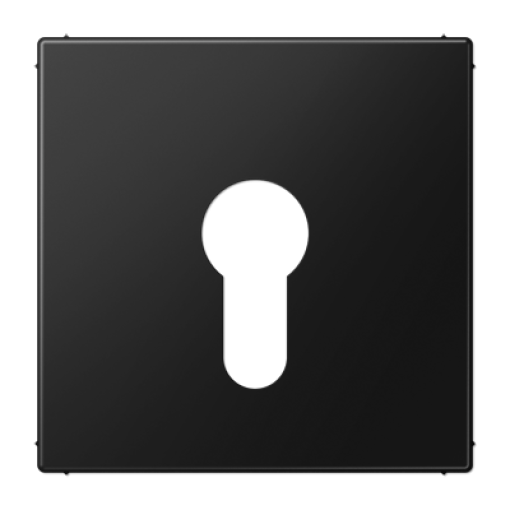 Placa interruptor llave LS negro mate