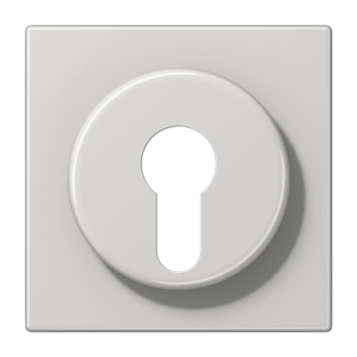 Placa interruptor llave LS gris claro