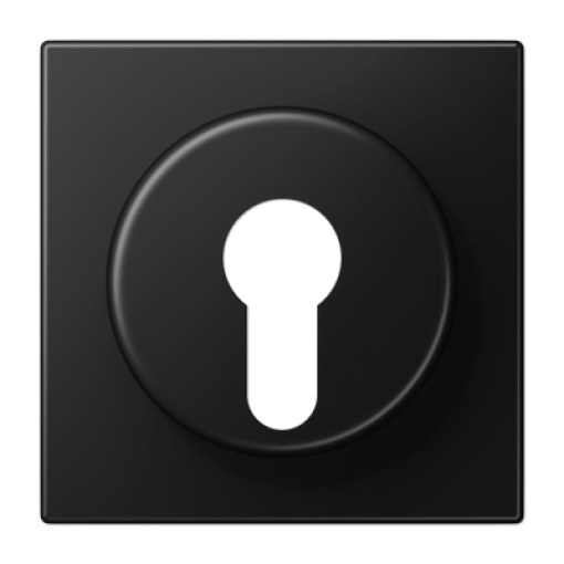 Placa interruptor llave LS negro mate