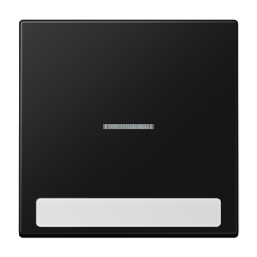 Tecla c visor e inscr. LS negro mate