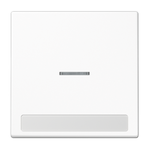 Tecla c visor e inscr. LS blanco alpino