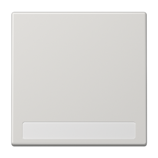 Tecla simple inscr. LS gris claro