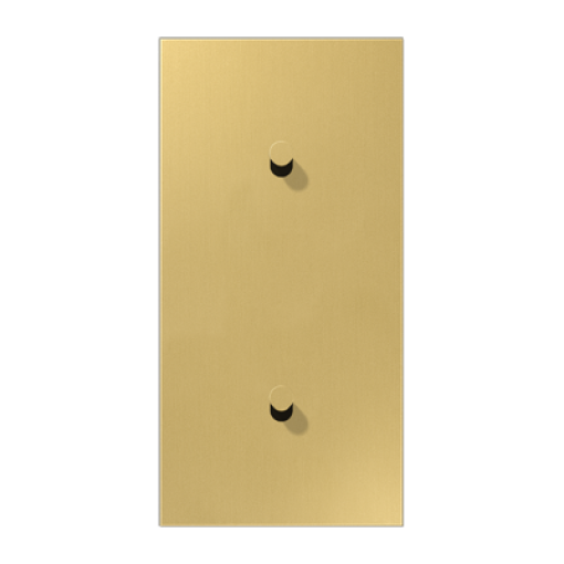 Placa vert. 2x2 pal. cono 1912 lat cl