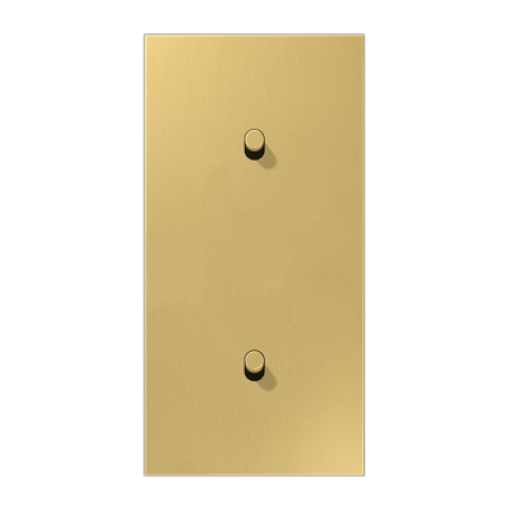Placa vert. 2x2 pal cilindro 1912 lat cl