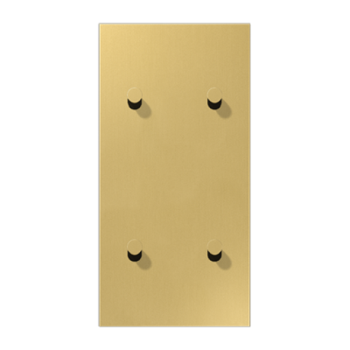 Placa vert. 2x4 pal. cono 1912 lat cl